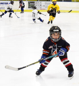 Commission gets update on BOPARC   plans for Morgantown Ice Arena